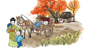 不为良相，便为良医