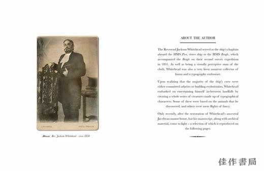 Typographic Specimens: A Natural History of Letterforms/印刷标本：字母的自然历史 商品图1