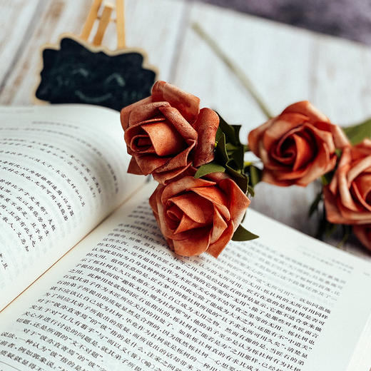 《逍遥游》的文本、结构与思想 庄子 诸子学 道家思想 学术论文 陈赟 商品图12