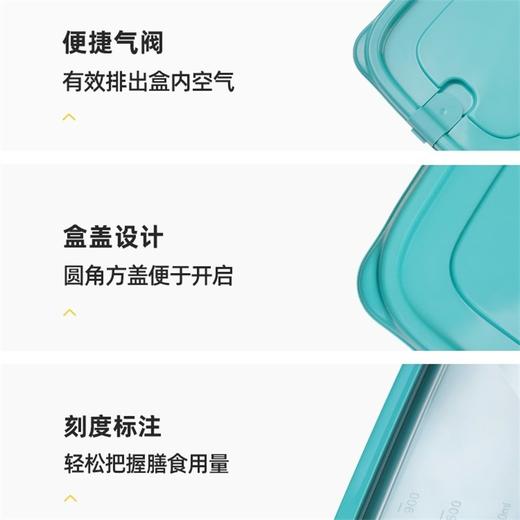 茶花塑料保鲜盒家用冰箱收纳盒密封饭盒食品级（贝格组合装02/03/04/05） 商品图5