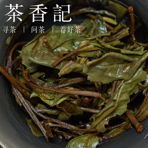 茶香记 如荒白牡丹019 福鼎白茶 荒野老丛 野韵十足 宜藏宜喝 口粮茶 商品图4