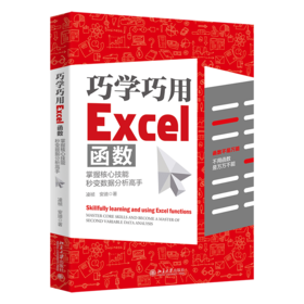 巧学巧用Excel函数：掌握核心技能，秒变数据分析高手 凌祯 安迪 北京大学出版社