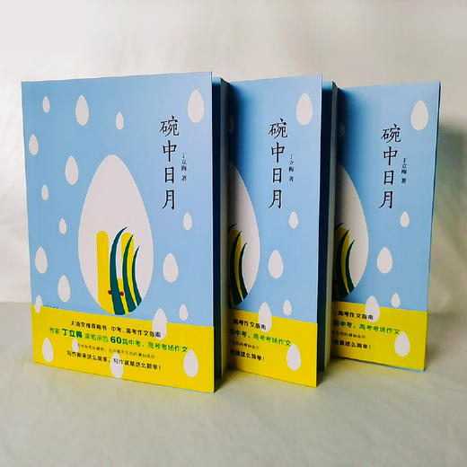 《碗中日月》中学作文高分指南，著名作家丁立梅60篇作文范本 对标全国、各省市近12年中考高考作文真题。 商品图5