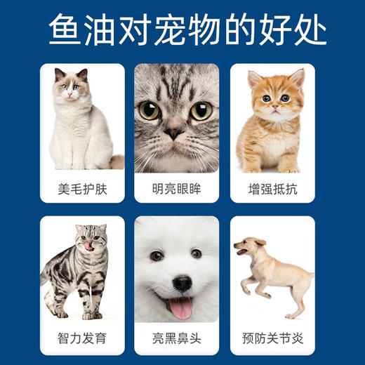 美国绝魅深海鱼油胶囊 商品图4