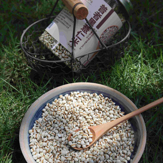 老品种 ·普者黑薏米  高山峡谷农家传统种植 商品图2