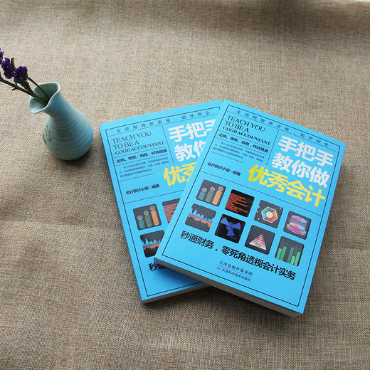 手把手教你做优秀会计 出纳、做账、纳税 12章如同12个关卡闯关升级，助你学习不枯燥 会计实务财务会计开源节流 商品图1