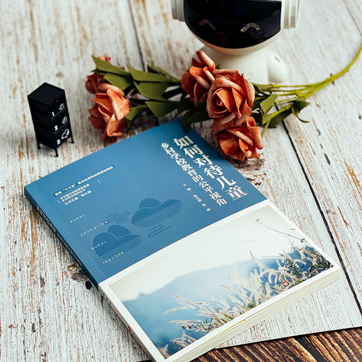 如何对待儿童 乡村学校教育的公平视角 乡村振兴中的学校发展 乡村校长培训丛书 正版 华东师范大学出版社 商品图7