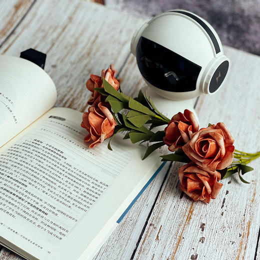 如何对待儿童 乡村学校教育的公平视角 乡村振兴中的学校发展 乡村校长培训丛书 正版 华东师范大学出版社 商品图9