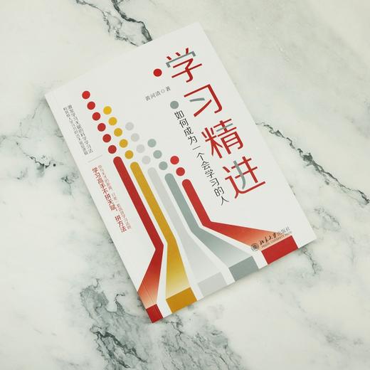 学习精进：如何成为一个会学习的人 黄河清 北京大学出版社 商品图3