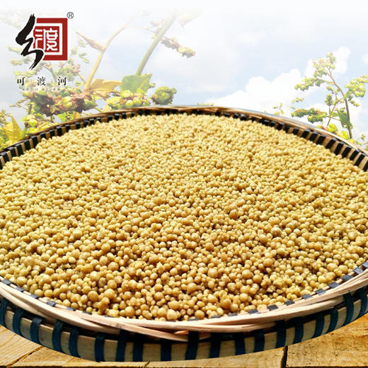 苦荞饭（绿色包装）1000g/袋 商品图1