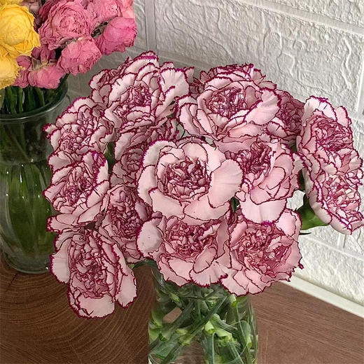 精品紫精灵国产康乃馨10支 商品图1