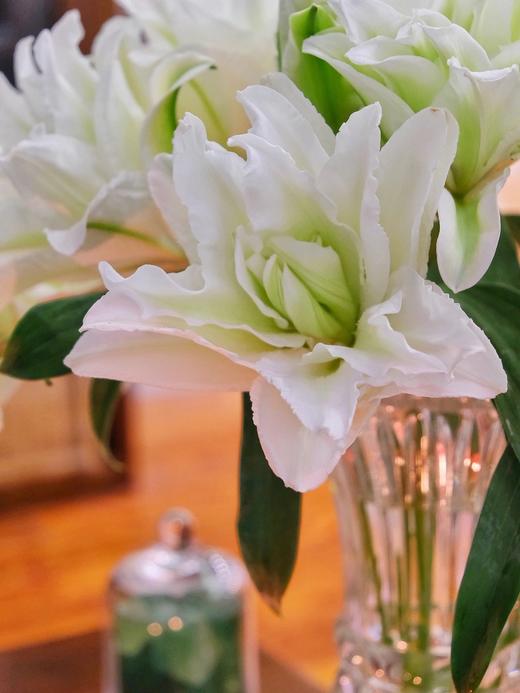 艾莎重瓣百合【山野千里，你是微风中的欢喜】简小姐精选白绿复色重瓣百合 艾莎10+2花头（防花损）2束包邮 下单5天发货 商品图7