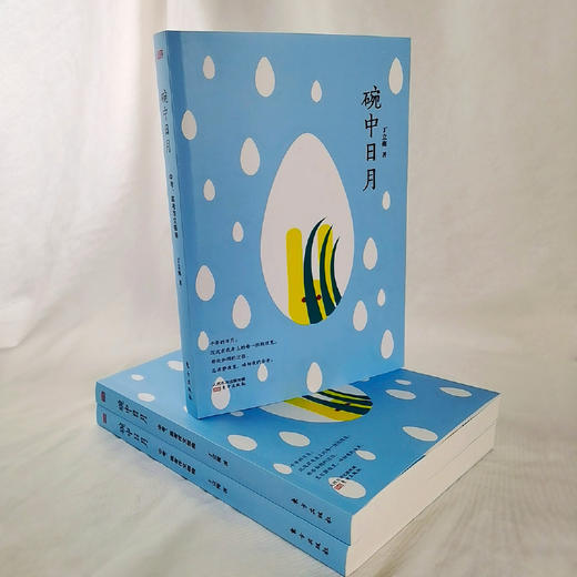 《碗中日月》中学作文高分指南，著名作家丁立梅60篇作文范本 对标全国、各省市近12年中考高考作文真题。 商品图4