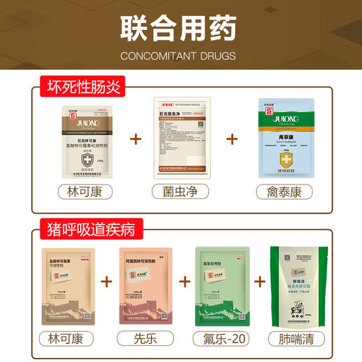 【巨龙林可康】巨龙动保林可康10%盐酸林可霉素可溶性粉100克 商品图2