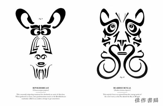 Typographic Specimens: A Natural History of Letterforms/印刷标本：字母的自然历史 商品图2