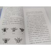 昆虫漫话+蜡烛的故事/世界科普经典 商品缩略图2