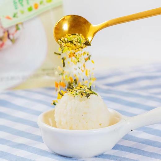 清净园 蔬菜拌饭料24g【中】 商品图2