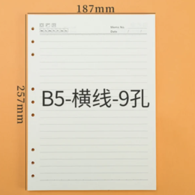 活页本替芯B5横线9孔80克纸90张21行1包