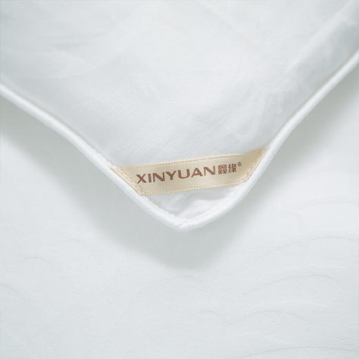 梦缘系列纯桑蚕丝被 AQPB 商品图3