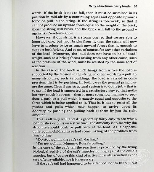 预售 【中商原版】结构 马斯克推荐 豆瓣高分 英文原版 Structures J. E. Gordon 建筑结构科普【中商原版】 商品图7
