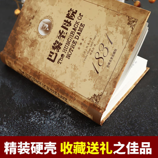 世界经典文学名著 巴黎圣母院正版全译本 雨果著 初高中寒暑假课外阅读书目青少年课外阅读世界名著外国小说畅销书籍 商品图1