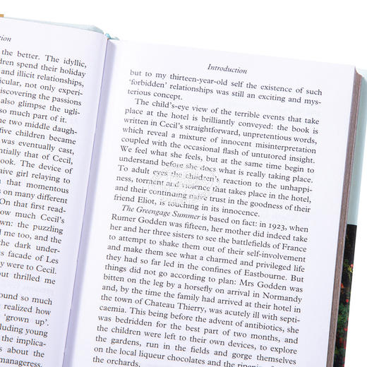 【中商原版】Collectors Library系列豆蔻春心 英文原版 The Greengage Summer 商品图3