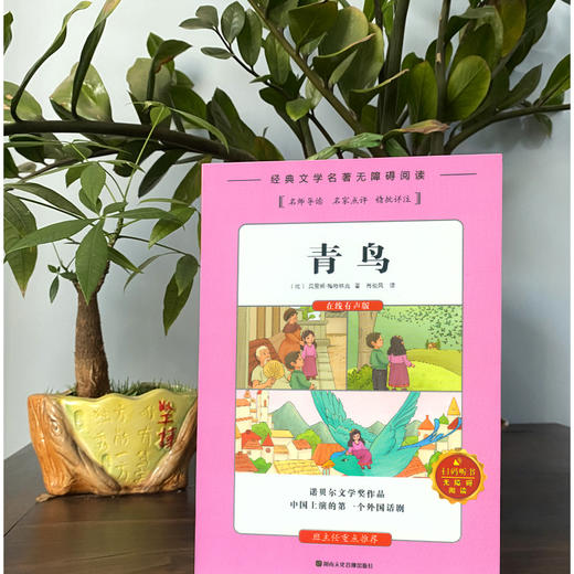 青鸟 儿童书籍6-8-12岁小学生必读课外书籍三年级四年级五年级六年级阅读课外书老师推荐世界经典名著青少年儿童文学正版包邮 商品图1