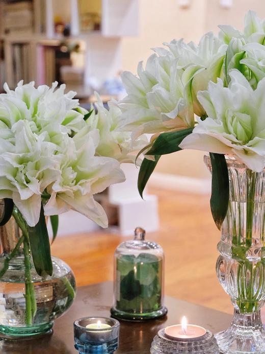 艾莎重瓣百合【山野千里，你是微风中的欢喜】简小姐精选白绿复色重瓣百合 艾莎10+2花头（防花损）2束包邮 下单5天发货 商品图6