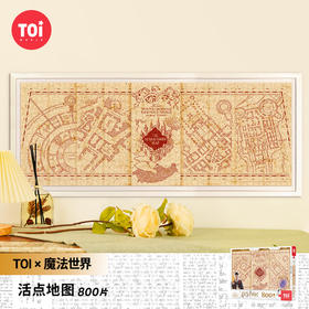 TOI图益-哈利波特系列-《活点地图》-800片