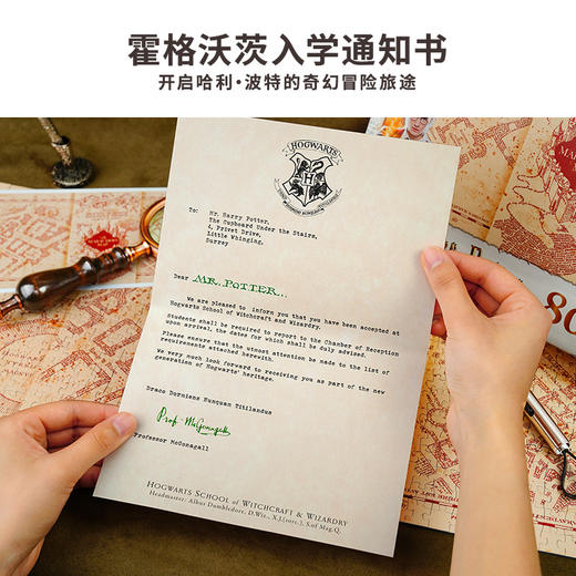 TOI图益-哈利波特系列-《活点地图》-800片 商品图3