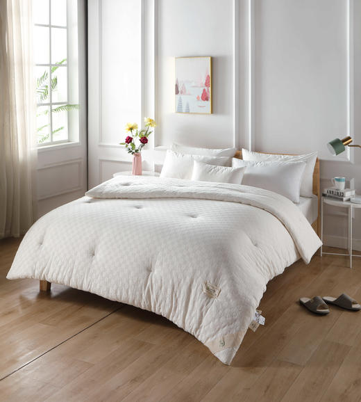 【远梦】质璞慵懒棉花被 商品图0