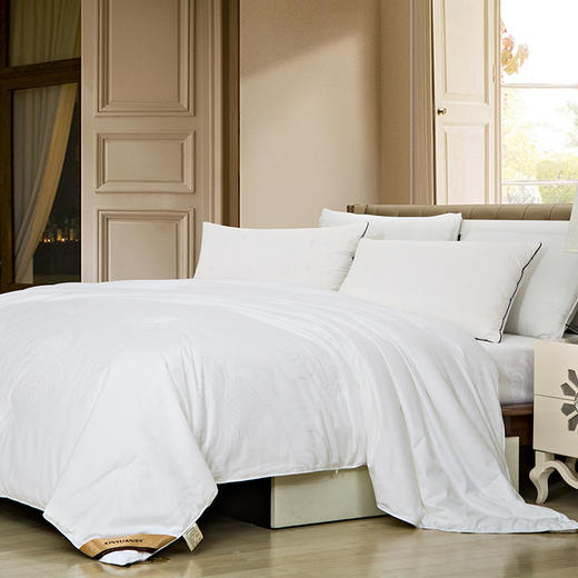 梦缘系列纯桑蚕丝被 AQPB 商品图1