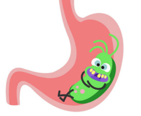 益生菌可以治疗幽门螺杆菌感染吗