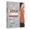 人体图典 奇妙身体说明书The Visual Dictionary Of The Human Body 王卫明 李箭 人体系统图谱人民卫生出版社9787117325080 商品缩略图1