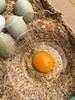 野鸡蛋（10枚） 商品缩略图3