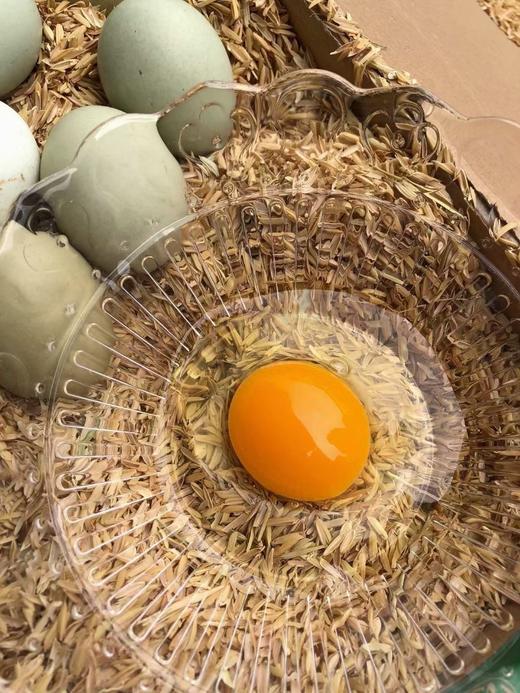 野鸡蛋（10枚） 商品图3