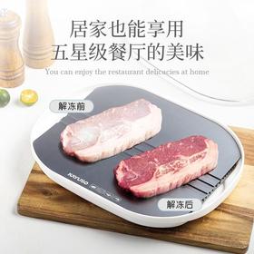 KAYUSO 卡尤速品牌家用保鲜解冻器快速解冻肉神器解冻机器升级款