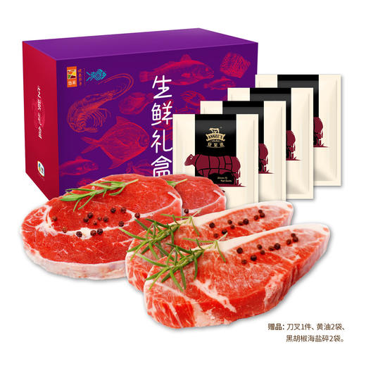 中粮安至选牛肉 339 套餐【分仓直发，72小时发货，周末节假日不发货】 商品图0