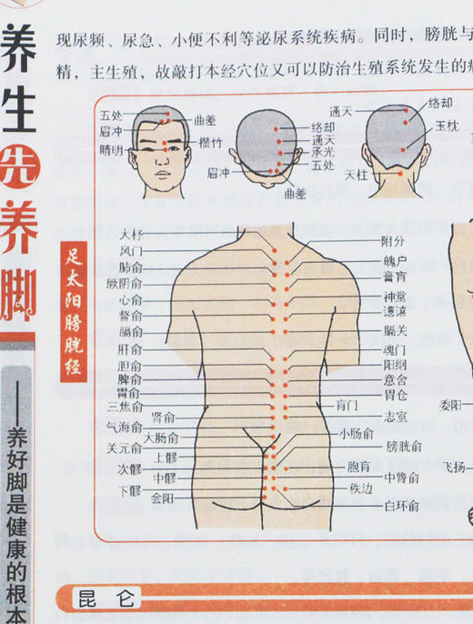 中医足部足疗穴位按摩书籍大全正版养生先养脚中药泡脚中医足疗按摩足浴书籍足底反射疗法书籍足疗经络穴位书足底疗泡脚书籍大全 商品图2