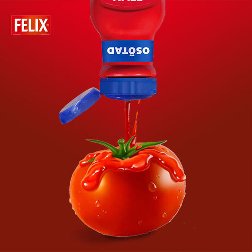 菲力斯0蔗糖0脂肪原味番茄沙司480g 商品图2