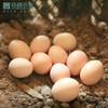 【爆品需排队，预计2天左右发货】扬德林下土鸡蛋 商品缩略图4