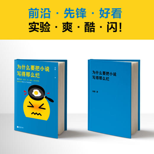 为什么要把小说写得那么烂 商品图2