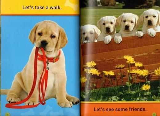 【8册32个故事合辑】 美国国家地理儿童百科分级读物 商品图2