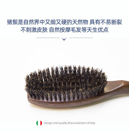 宠物西瑞野猪鬃毛梳 黑檀木猪鬃柄梳 意大利BRAVURAGROOM 商品图1