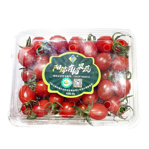 阳瑞有机番茄（红）500g/份 商品图0