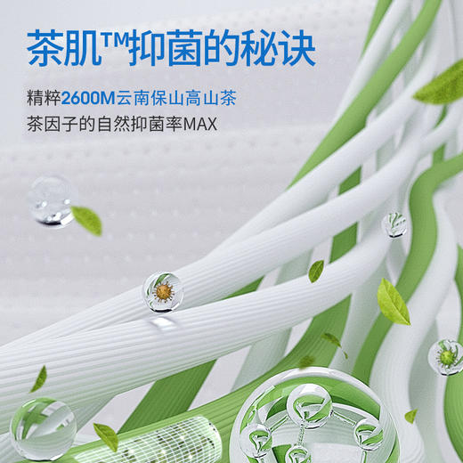 开袋即穿茶肌男女童内裤  单条装首次免洗全裤茶肌抑菌莫代尔柔软舒适中腰无痕儿童内裤单条装 商品图5