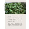 药染同源 《本草纲目》里的传统染织色彩 商品缩略图4