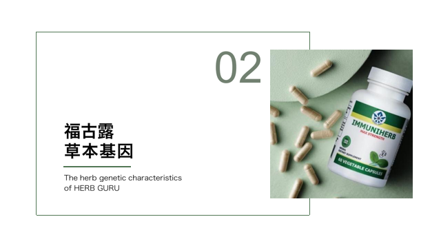 02   福古露草本基因