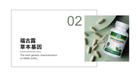 02   福古露草本基因