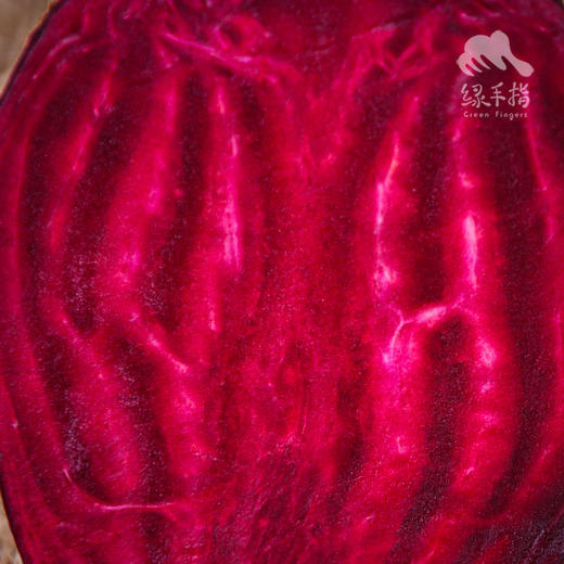 有机甜菜根 |合作生产*Organic Beetroot | Coproduction 商品图2
